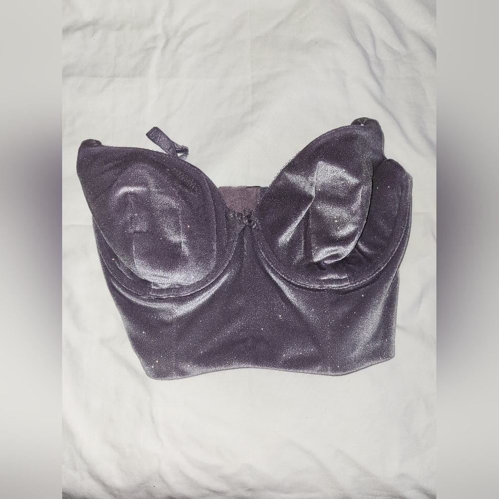 Victoria's Secret Shimmery Plum Longline Bralette